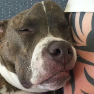 Meet your Posher, Dustin